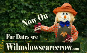 Scarecrow Festival 2017